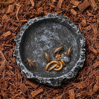 2Pcs Reptile Water Bowl, Feeding Dish for Leopard Gecko Lizard – Essentials for Reptiles And Amphibians - Black - image 2