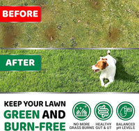 YUMA'S Dog Urine Neutralizer for Lawn - 170 Chews - Advanced Grass Green Savers for Dog Urine - Canine Pee Grass Neutralizer Supplement - Green Lawn Treats with Probiotics and Digestive Enzymes
