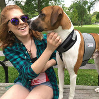 CoolerDog Dog Cooling Vest & Cooling Collar - M - image 4