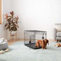 Amazon Basics Portable, Foldable Metal Wire Small Dog Crate with Removable Tray, Divider Panel - 30.0"L x 19.0"W x 21.0"H / Double Door w/ Divider - image 4