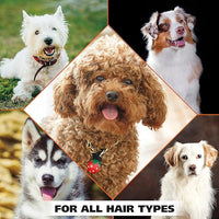 Wahl USA Dry Skin & Itch Relief Pet Shampoo for Dogs – Oatmeal Formula with Coconut Lime Verbena Scent & Pet Friendly Formula, 24 Oz - Model 820004A