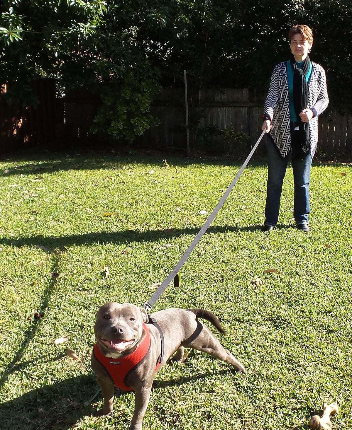Dog Leash 6ft Long, Traffic Padded Two Handle, Heavy Duty - 6FT / Black-Green - image 4