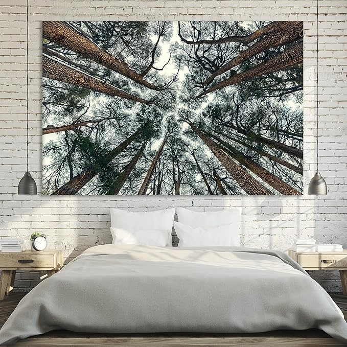 Nature Wall Art Prints - Ocean Forest Mountain Lake Canvas Landscapes - Small to Extra Large Living Room Bedroom Kitchen Bathroom Décor (Trees and Sky, 28L" x 41W")