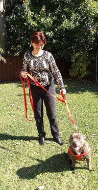 Dog Leash 6ft Long, Traffic Padded Two Handle, Heavy Duty - 6FT / Red - image 4