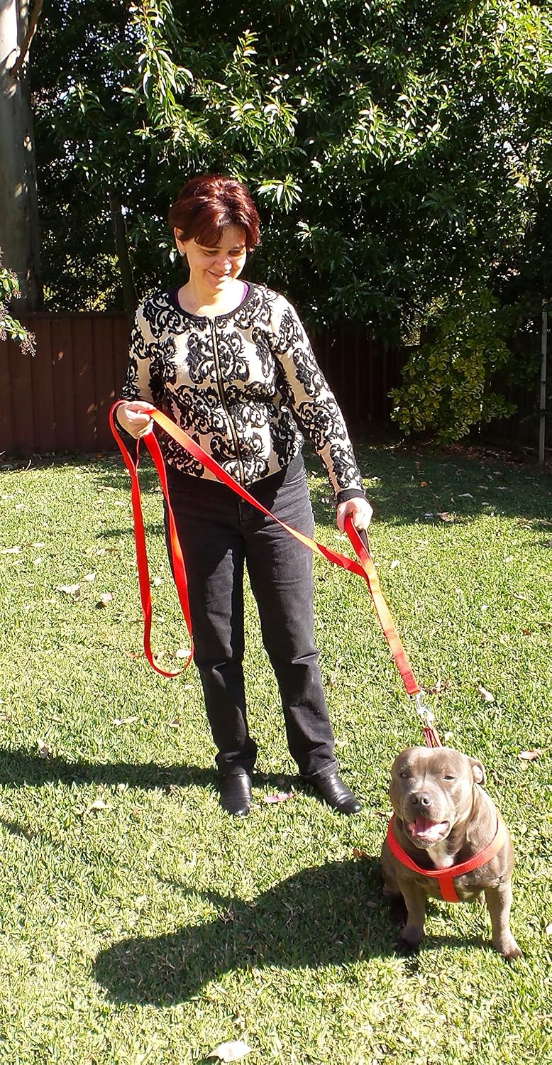 Dog Leash 6ft Long, Traffic Padded Two Handle, Heavy Duty - 6FT / Red - image 4