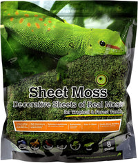 Galápagos Sheets of Real Moss, 8-Quart, Natural, Green - 8 quarts