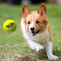 Nerf Dog Tennis Ball Blaster Dog Toy – Essentials for Dogs - 12 in Translucent Blaster with 3 Balls / Dog - image 2