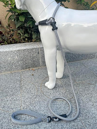 Slip Lead Dog Leash，Strong Nylon Rope Leash and Padded Handle,No Pull Outdoor Walking Training Lead for Small Medium Large Dogs(Grey, 1/2"×6ft)