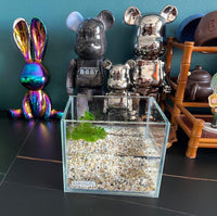 AWXZOM Small Nano Tall Rimless Tank, Glass Fish Tank, Betta Tank – Essentials for Fish - 0.7 Gallon 5.9x 4.3x5.1inch/15*11*13cm - image 4