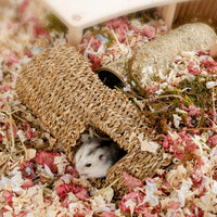 Niteangel Creative & Composable Hamster Tunnel: Edible Water Hyacinth - HC - image 3