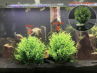 BEGONDIS Aquarium Decorations Fish Tank Artificial Green Water Plants Made of Soft Plastic