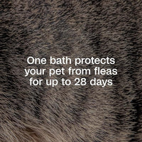 Adams Plus Flea & Tick Shampoo with Precor for Cats, Kittens, Dogs & Puppies Over 12 Weeks Of Age Sensitive Skin Flea Treatment | Kills Adult Fleas, Flea Eggs, Ticks, and Lice| 12 Ounces