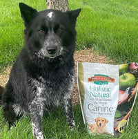 Bench & Field Holistic Natural Adult Dry Dog Food, Chicken Meal and Brown Rice Recipe 6.6 lb Bags (Pack of 2)