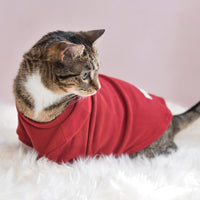 “Spoiled” Mock Neck Shirt - Lucky in Love