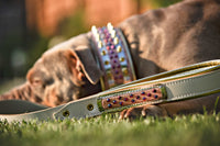The Candy Leash