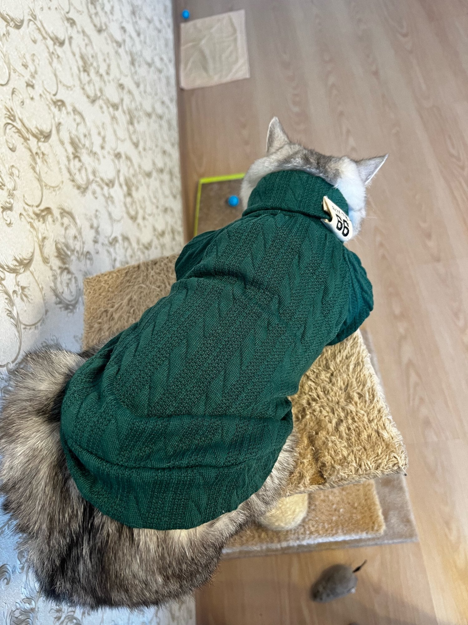 Winter Warm Knitted Turtleneck Sweater for Small Dogs or Cats - BIG FRENCHIES