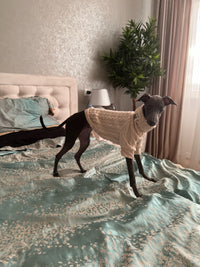 Winter Warm Knitted Turtleneck Sweater for Small Dogs or Cats - BIG FRENCHIES