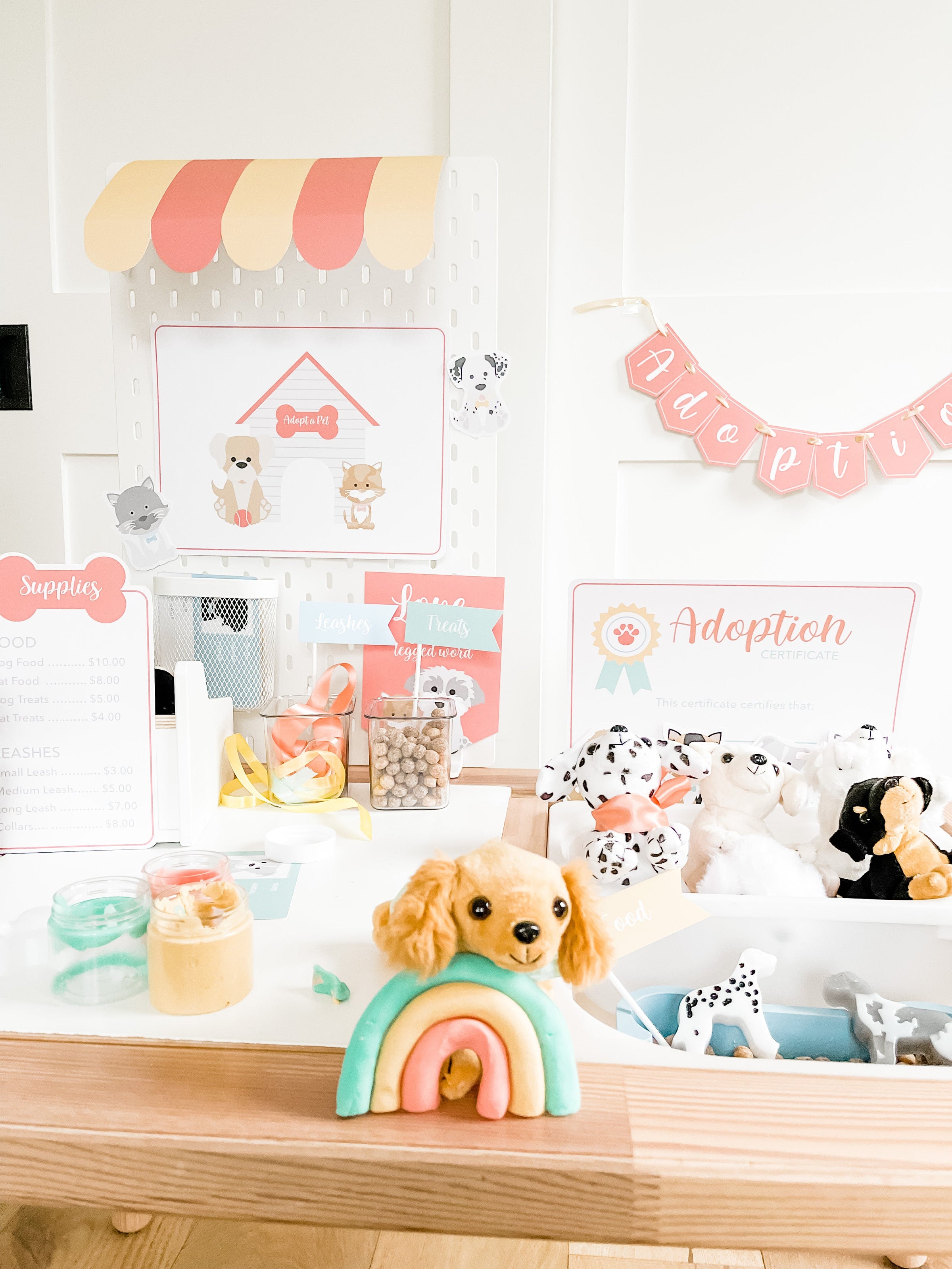 Pet Adoption Clinic Dramatic Play