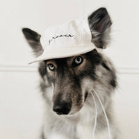 Furever Hat Bundle