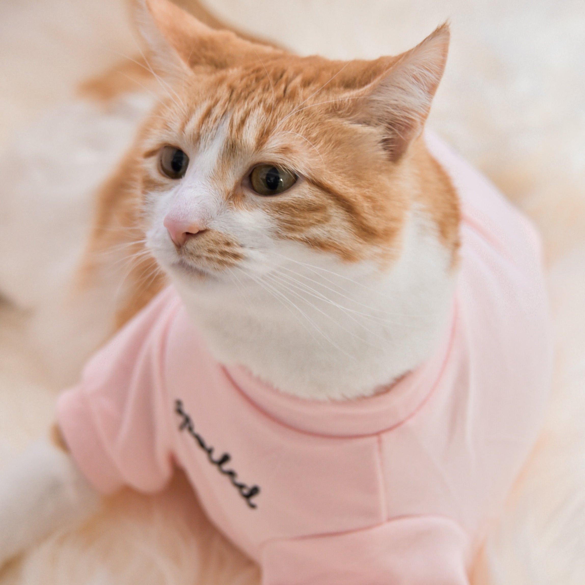 “Spoiled” Mock Neck Shirt - Cupid’s Blush