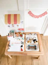 Pet Adoption Clinic Dramatic Play