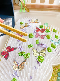 Bugs Printable Dramatic Play