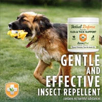Herbal Defense Powder