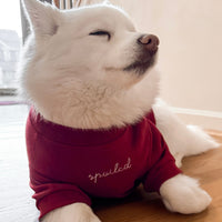 “Spoiled” Mock Neck Shirt - Lucky in Love