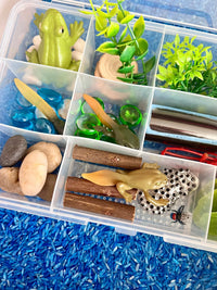 Pond Life Cycle Sensory Kit And Water Play - BIG FRENCHIES