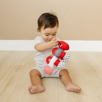 Caterpillar Teething and Sensory Toy in Black, White and Red, 9" - BIG FRENCHIES