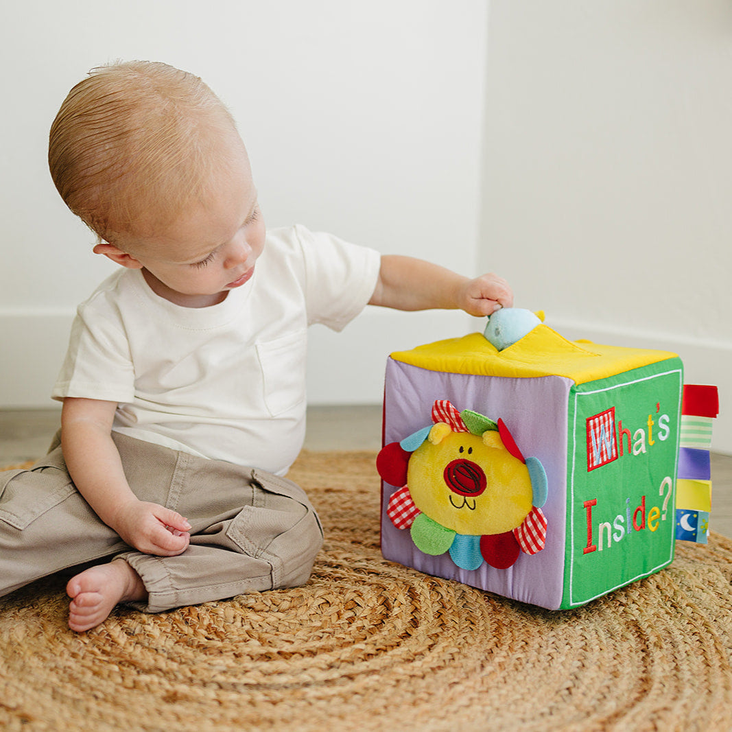 Baby Surprise Box What's Inside Box with Colorful Sensory Baby Toys - BIG FRENCHIES