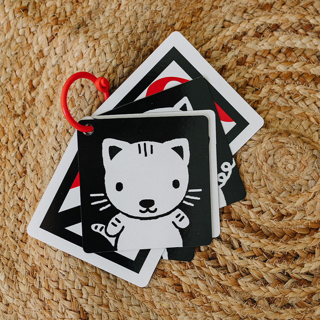 The Original, High Contrast (Black, White, Red) Flashcards for Baby - BIG FRENCHIES