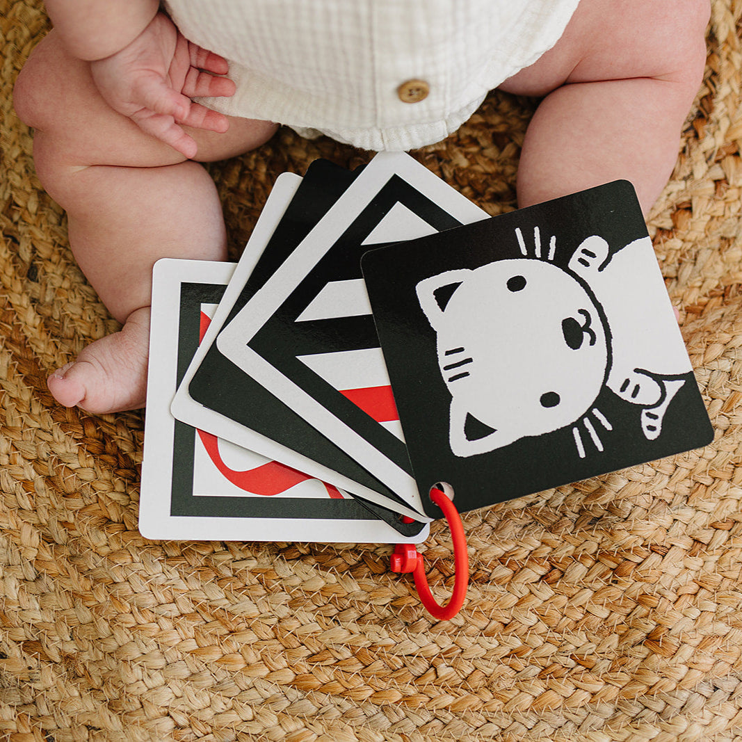 The Original, High Contrast (Black, White, Red) Flashcards for Baby - BIG FRENCHIES