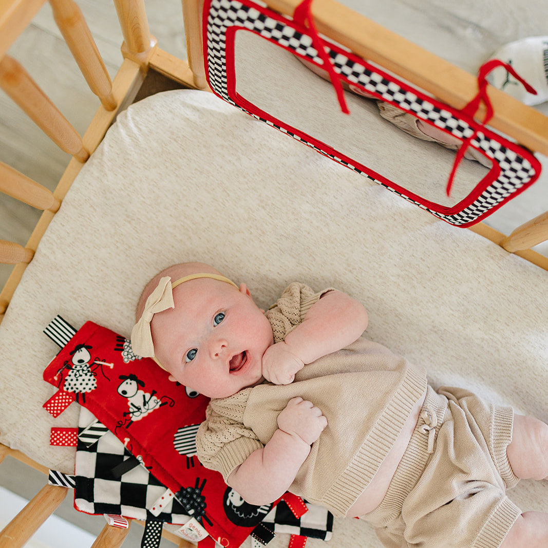 Baby Mirror for Crib or Car in High Contrast Colors - BIG FRENCHIES