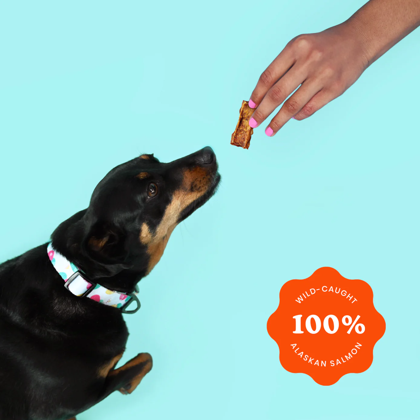 Ava's Pet Palace Crunchy Jerky Dog Treats - Snappin' Salmon Treats (4 oz) - BIG FRENCHIES