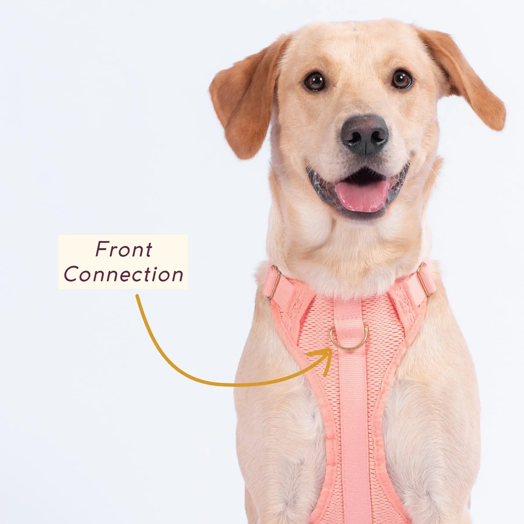 Huggie Harness