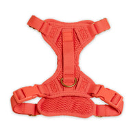 Huggie Harness - Last Chance