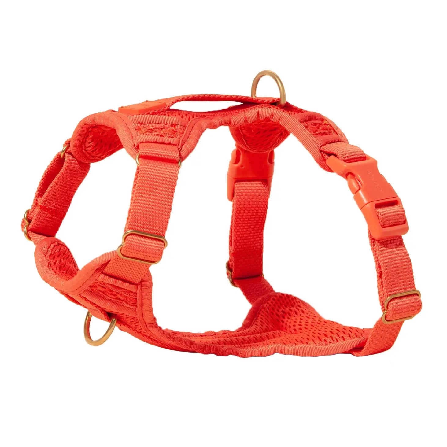 Huggie Harness