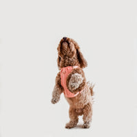 Huggie Harness