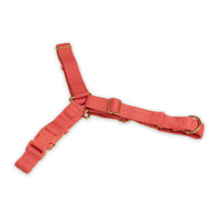 Roam Harness - Last Chance