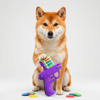 2-in-1 Disc Bullet Launcher Toy