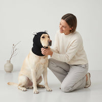 Rabbit Ear Dog Hat