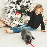 Cat Christmas Stocking with Toys