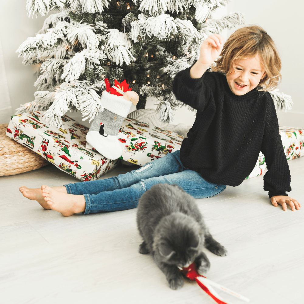 Cat Christmas Stocking with Toys