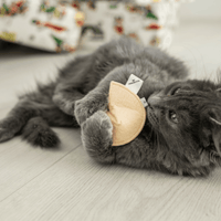 Cat Christmas Stocking with Toys