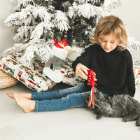 Cat Christmas Stocking with Toys