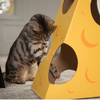 Monster Cheese Wedge Cardboard Cat House