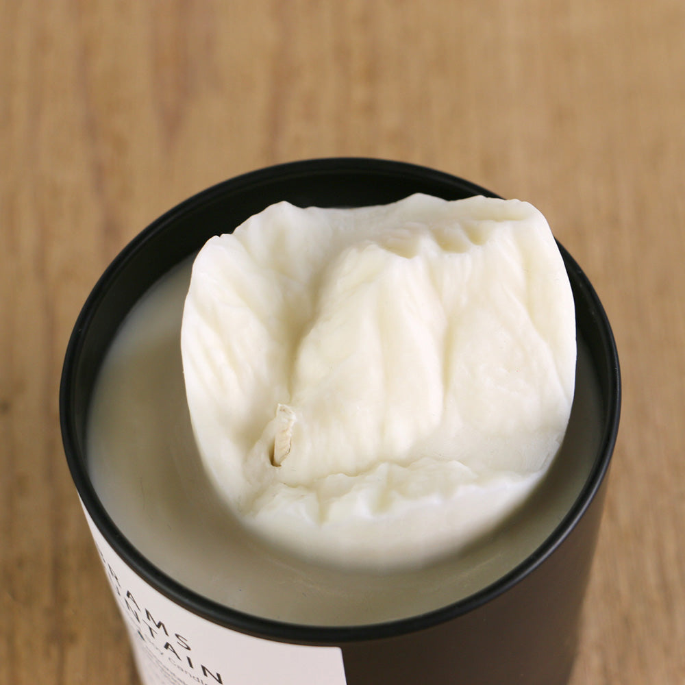 Abrams Mountain Candle - BIG FRENCHIES