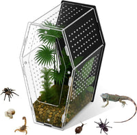 Acrylic Jumping Spider Habitat, Clear Insect & Reptile Terrarium Enclosure