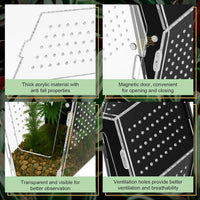 Acrylic Jumping Spider Habitat, Clear Insect & Reptile Terrarium Enclosure